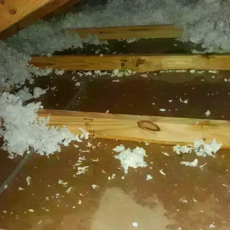 Attic Water Damage in McCormick, SC