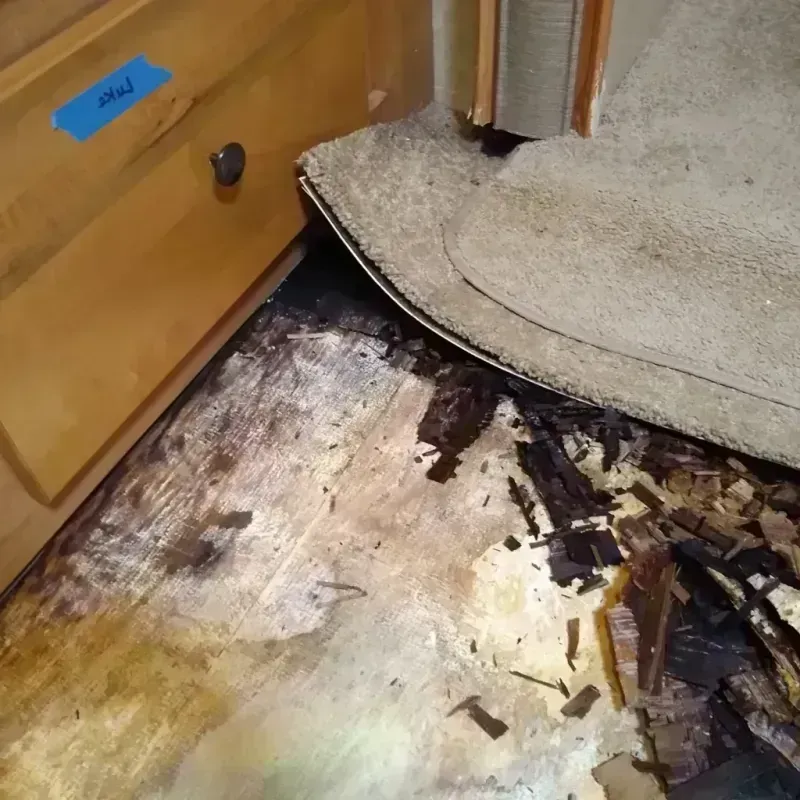 Wood Floor Water Damage in McCormick, SC